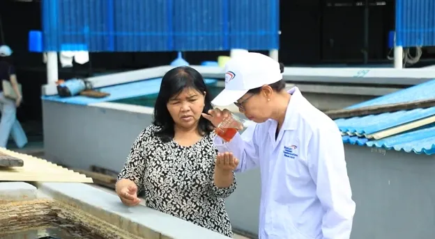 Nam Ngư thu mua nước mắm cốt từ làng nghề